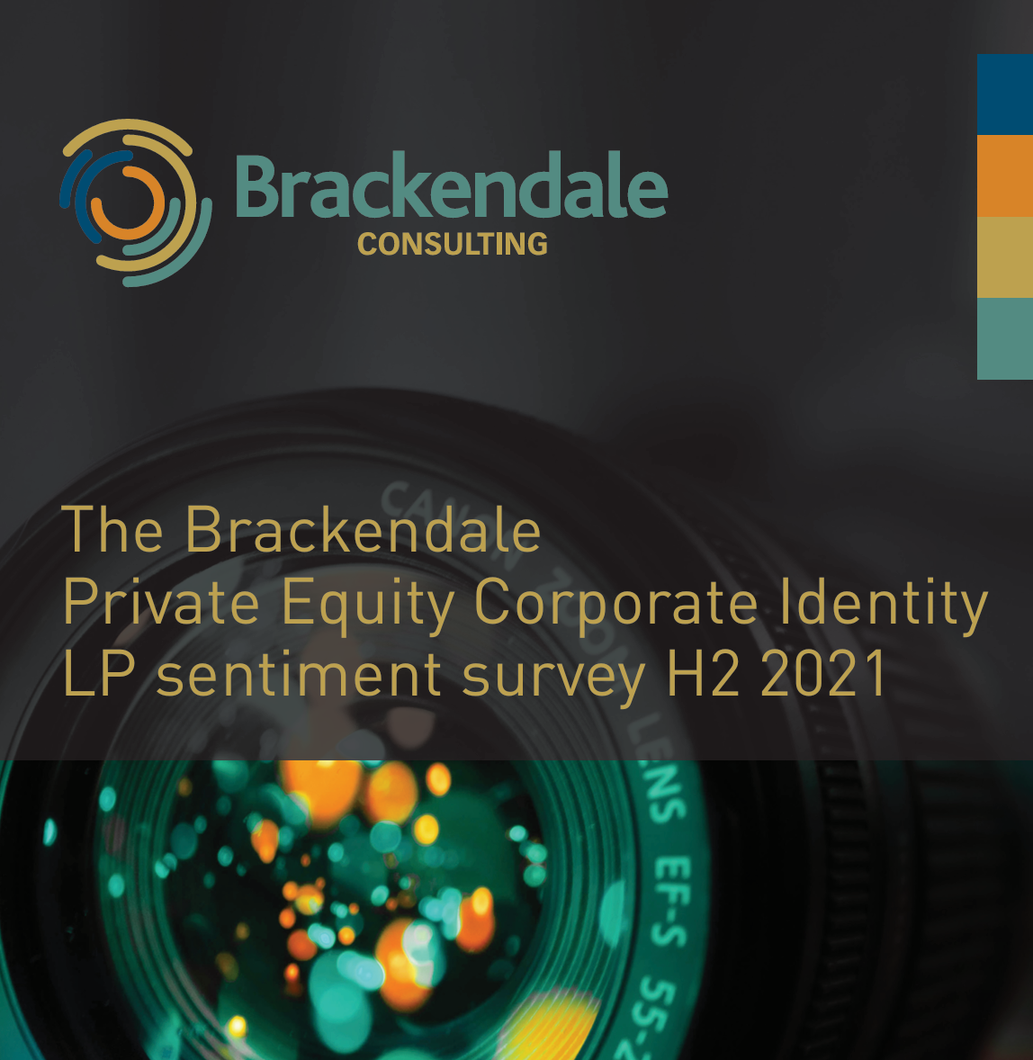 The Brackendale Private Equity Corporate Identity LP Sentiment Survey H2 2021