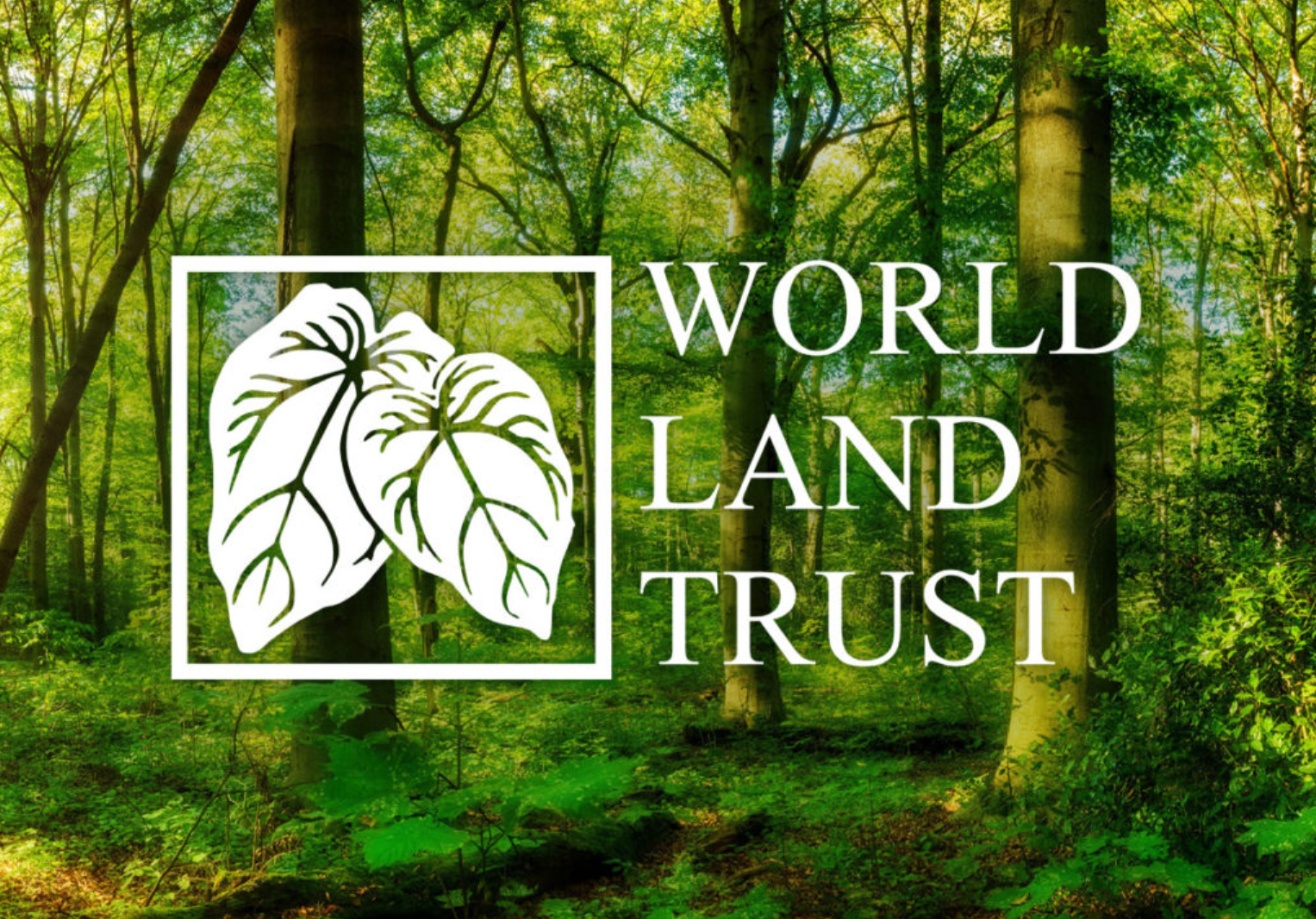 Brackendale teams up with World Land Trust to help combat deforestation